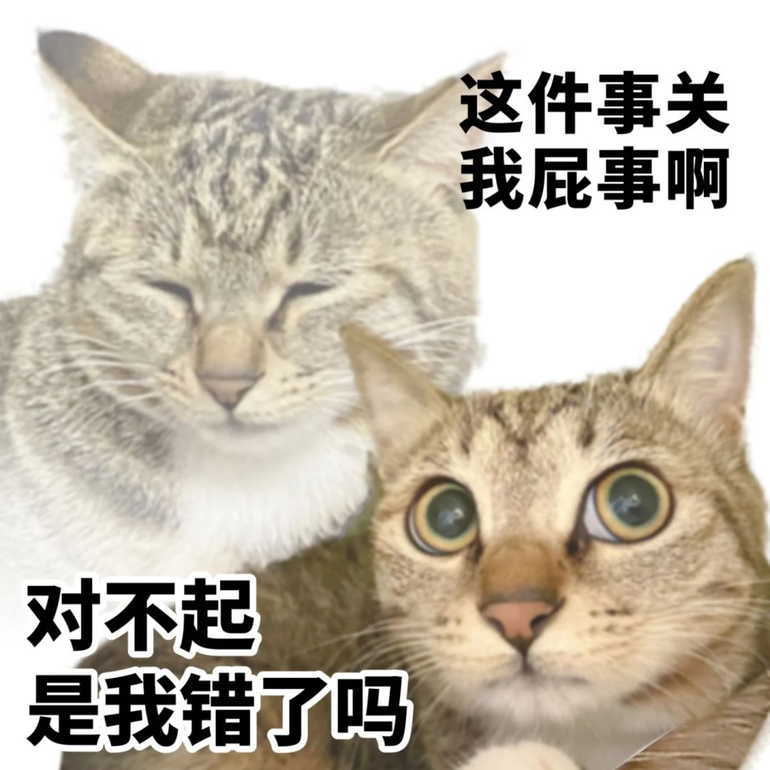 有点融。 1