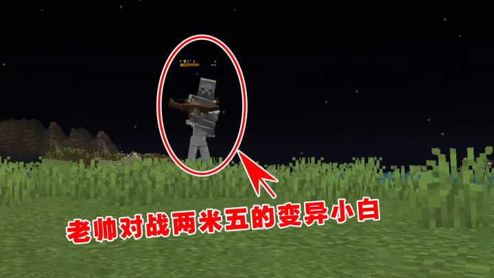 我的世界Him传说21:漫天都是小星星,老帅对战两米五的变异小白截图
