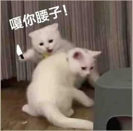 大家碰到过广告回来人物不显示的吗 1