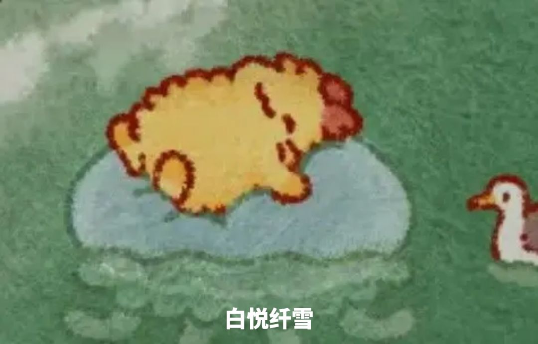 唯有兔兔能慰我心 3