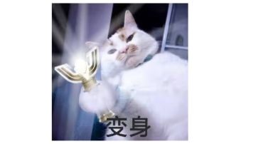 唤灵岩纹: 版本新天赋