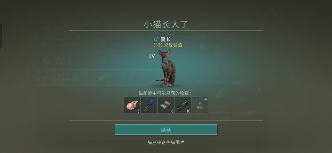 这只猫好吗? 1
