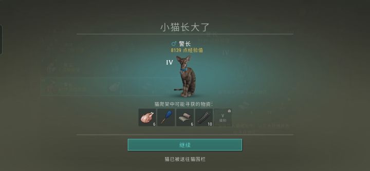 这只猫好吗?截图