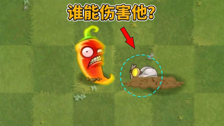 植物大战僵尸2:谁能干掉地底的矿工?截图