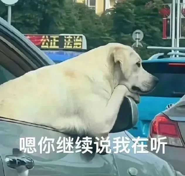 通用攻略——关于本游的一些看法和思考①截图