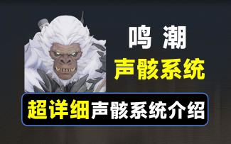 【鸣潮】声骸系统讲解，一个视频搞懂声骸系统
