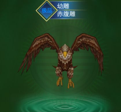 宠物,不单单是摆设,更是战力担当! 3
