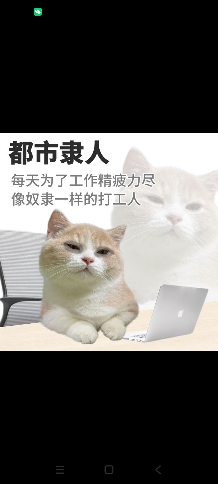 有没有妹妹一起玩截图