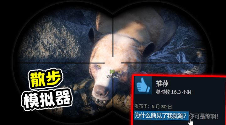 为什么熊看见我就跑?你可是个熊啊!!!截图