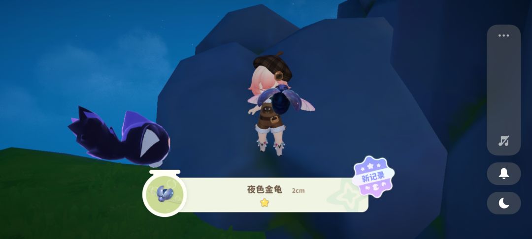 夜色金龟 3