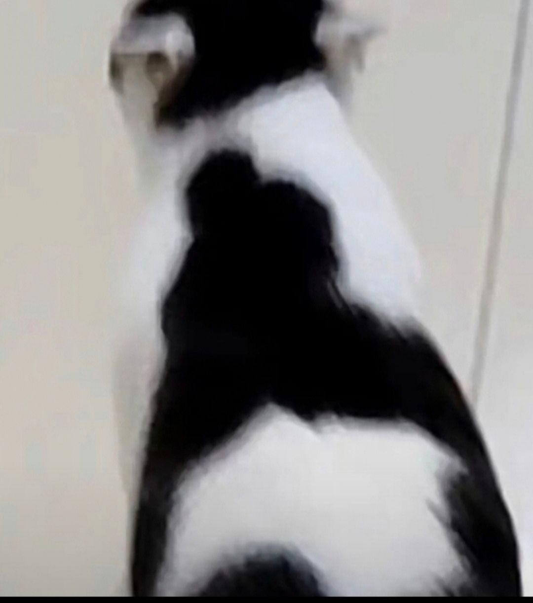 还不更新。又要到最后一天吗? 2