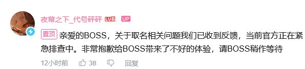 夜幕之下公测翻车 取名拦截引热议 2