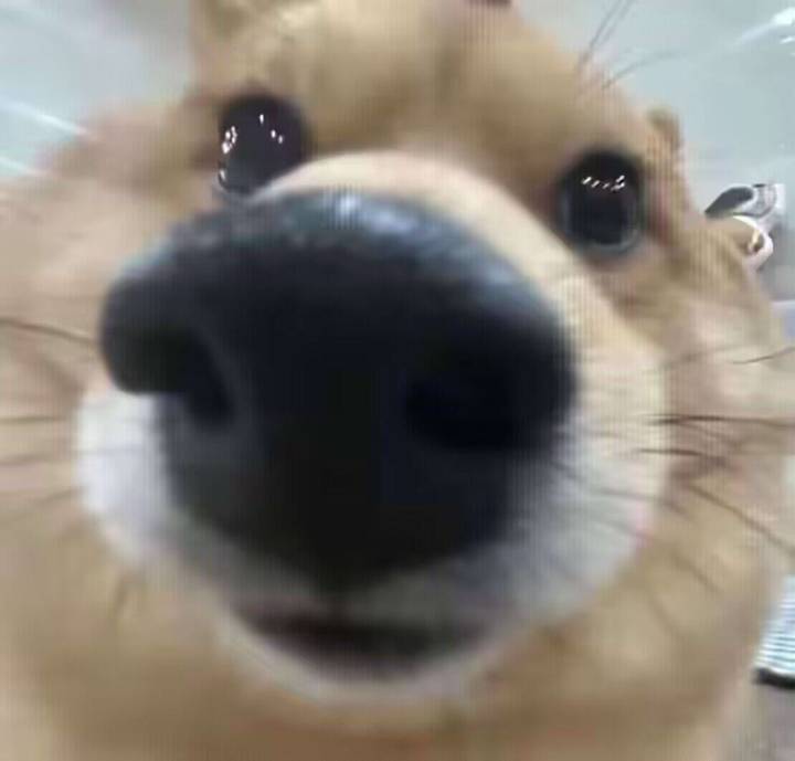 求大佬给个好友位截图