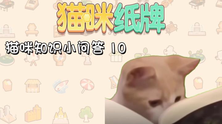 《猫咪纸牌》猫知识小问答 10🐱截图