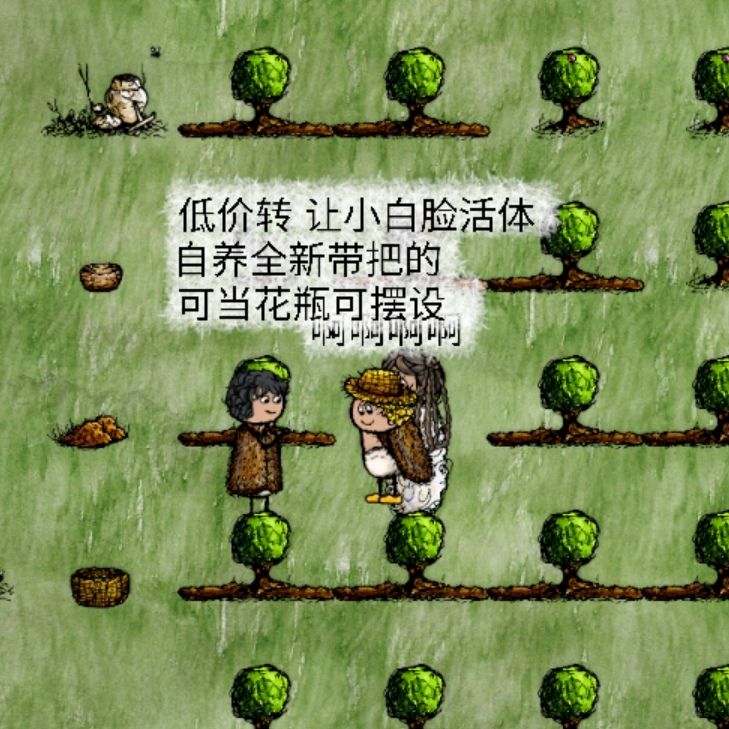 三年中收集到的一些印象深刻语言 3