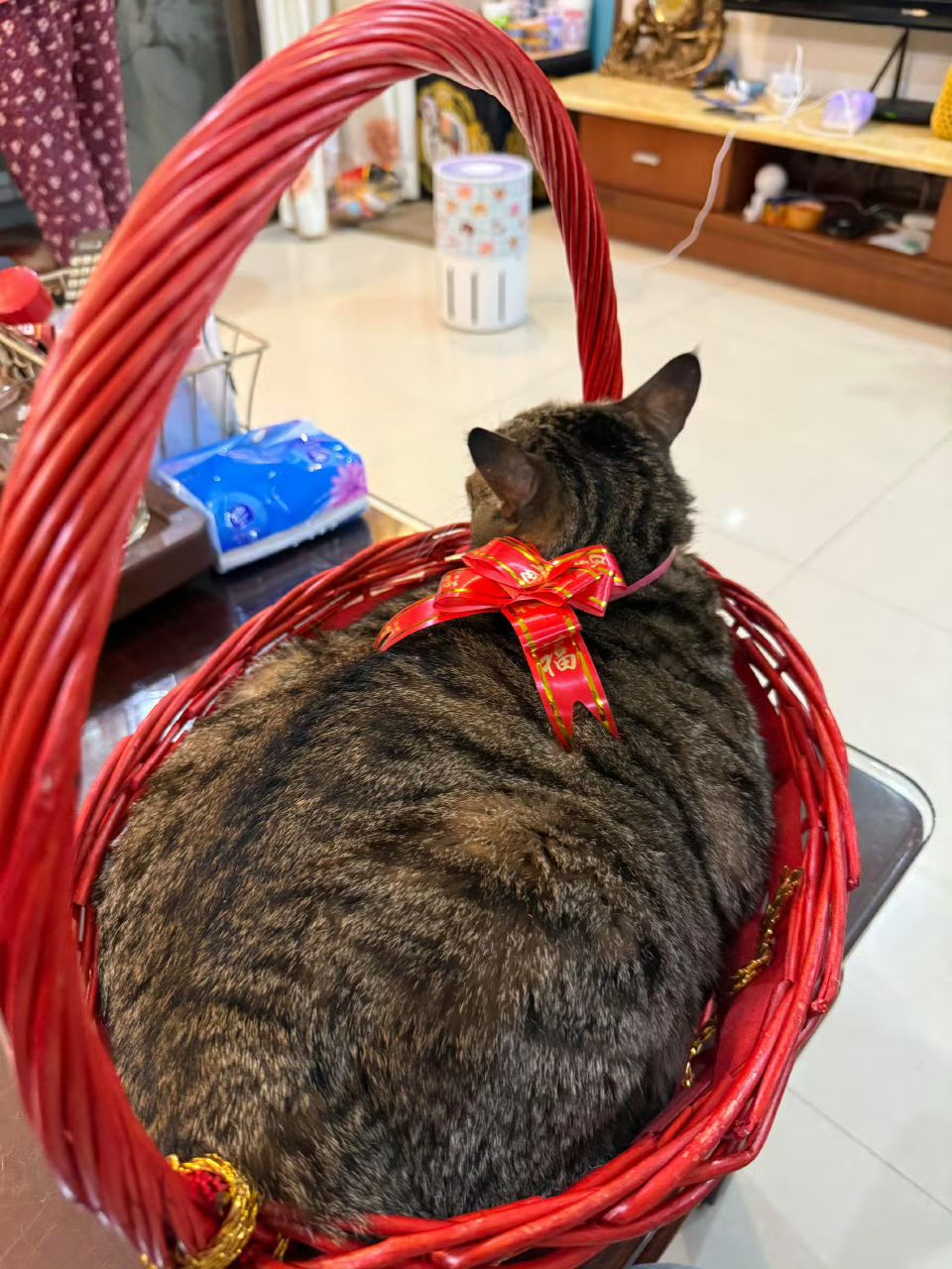 新年快乐~ 2