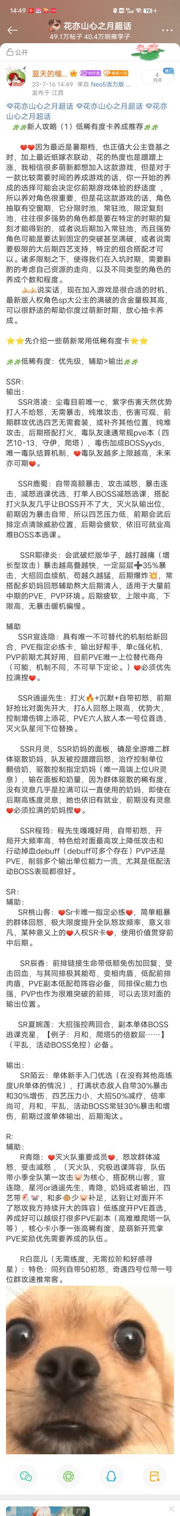 萌新低稀有度卡养成推荐