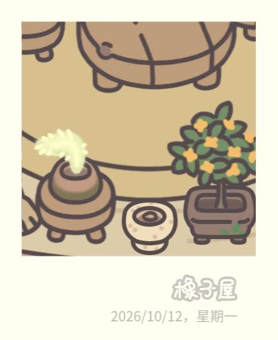新花盆! 1