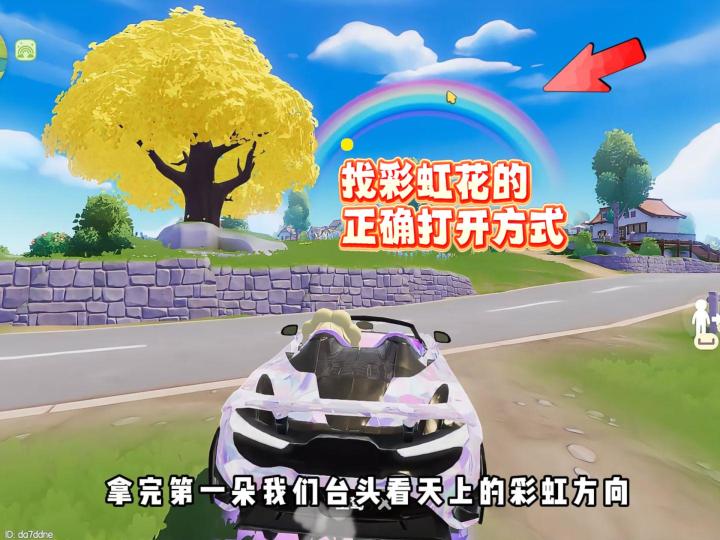 找彩虹花的正确打开方式截图