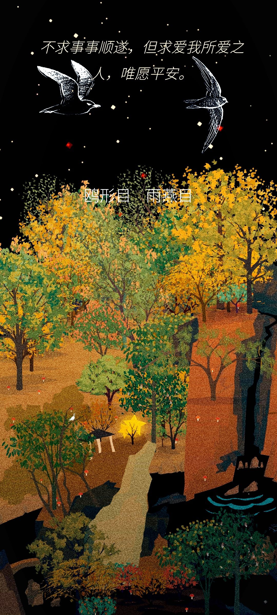 星星树 4
