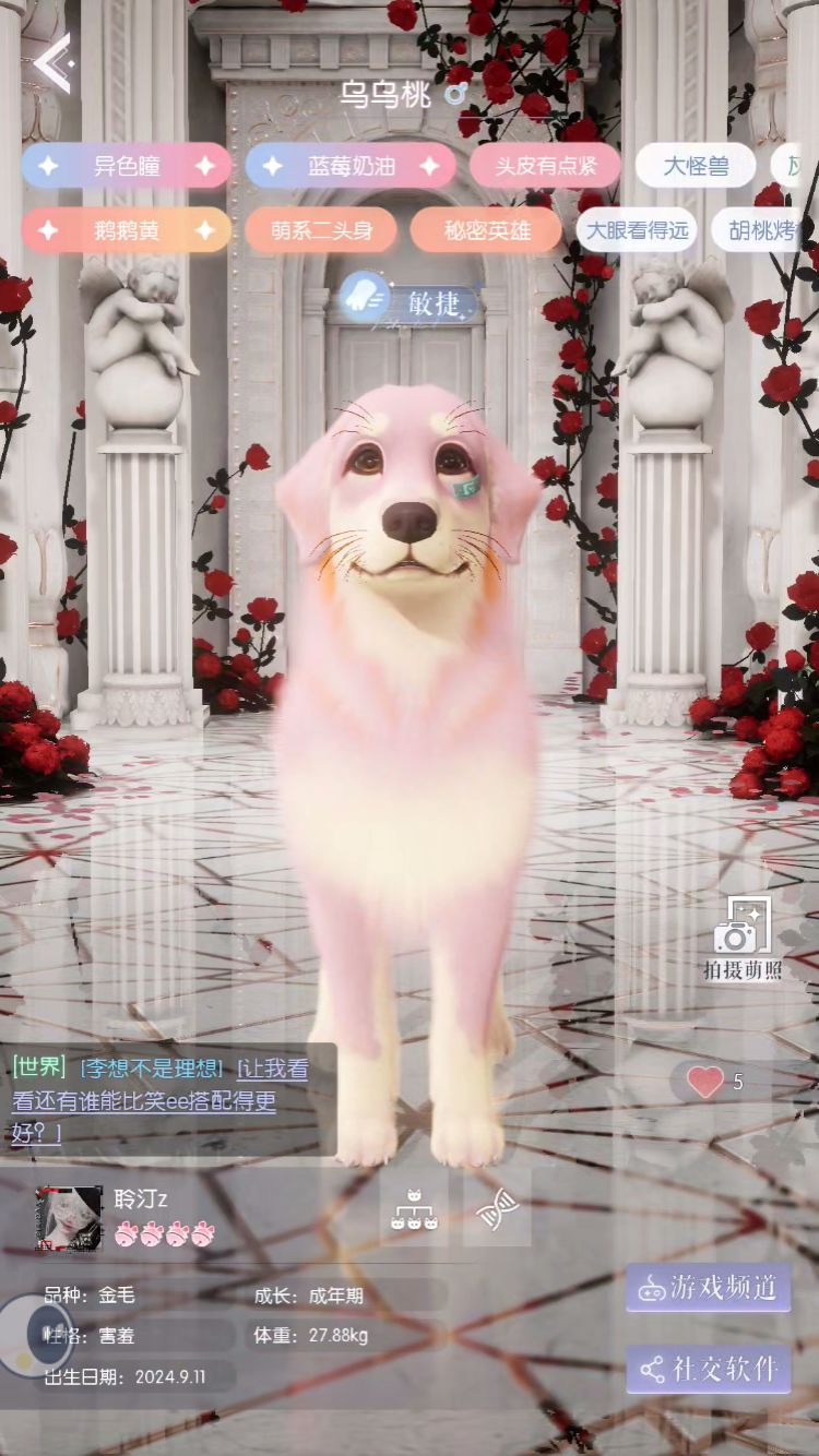 动态图片 2