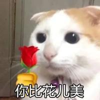 请教各位大佬截图