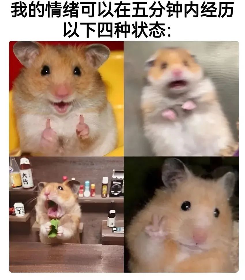 ✨今日份梗图分享第三十三期✨ 2