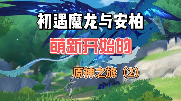 【原神】初见魔龙与安柏-从零开始玩原神(2)截图