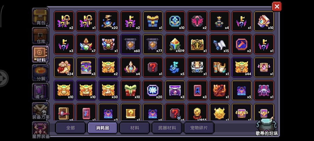 不是我仓库两个限定宠物自选去哪呢? 2