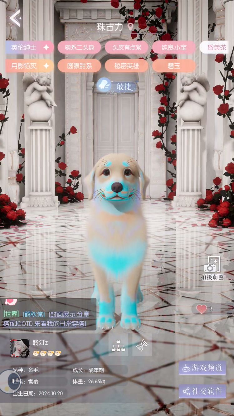 动态图片 8