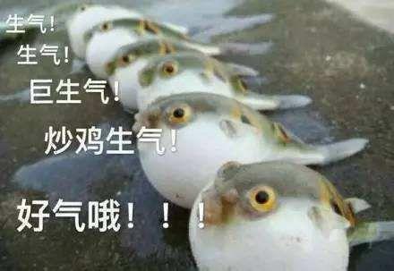 只能有一个伴侣吗(失望T_T 1
