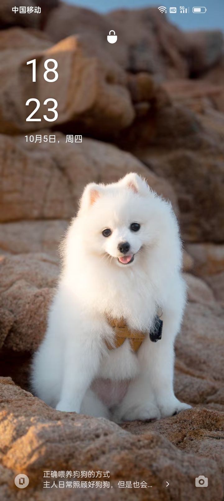 动态图片 2