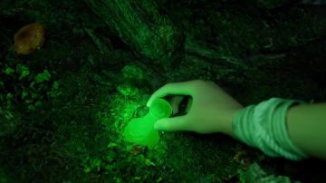 契约版《玄阴大法》迷登指南（偷渡者无效）