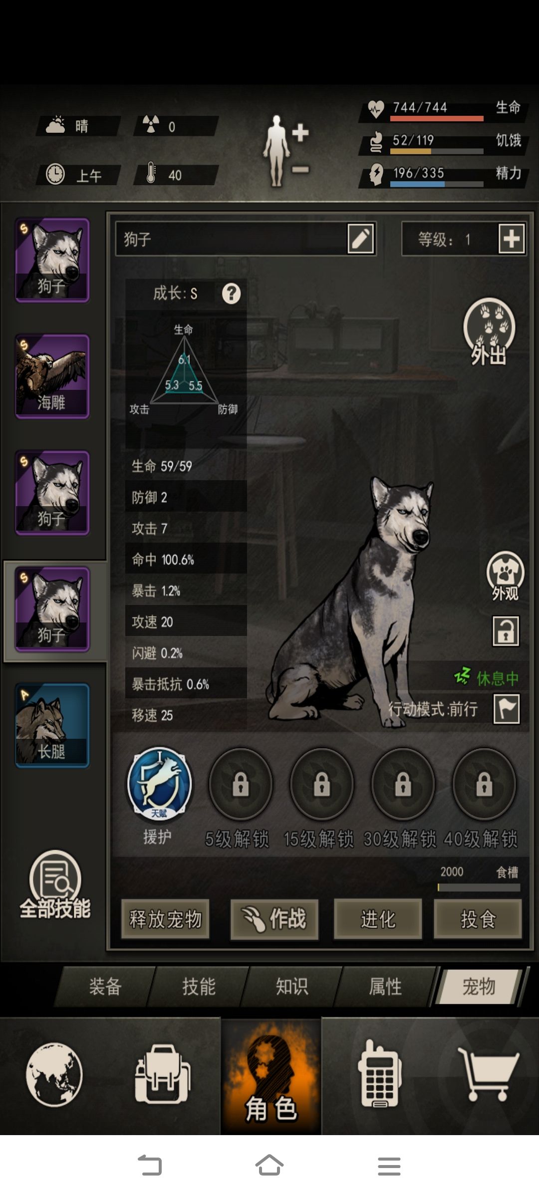 二哈一家 4