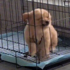 啧,我草,让我进去啊!截图