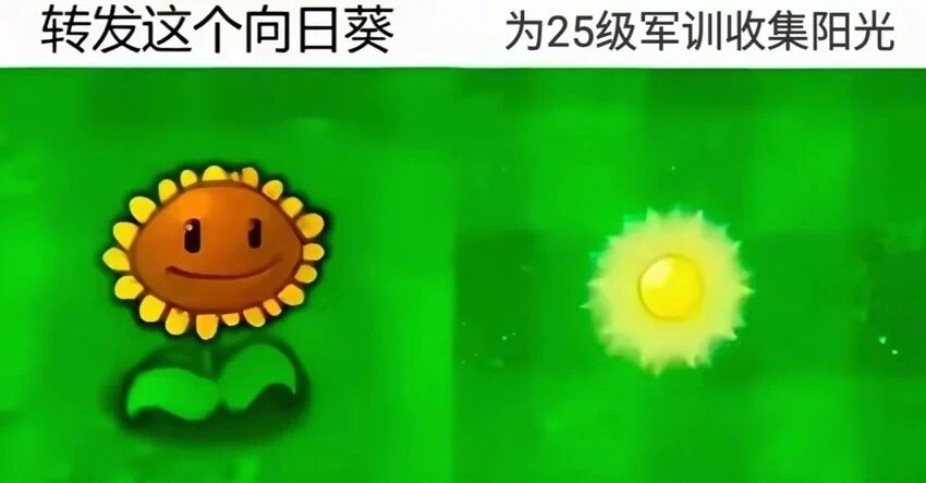 三个码,银与绯,自己不玩,分享了 1