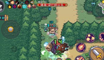 稀奇物种，哈哈！