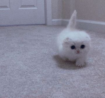 添加AI，其实是一件好事