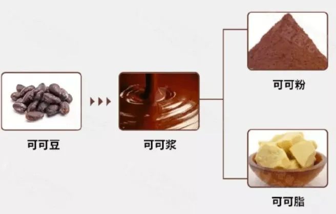 🌟青年大学习|巧克力介绍🌟 3
