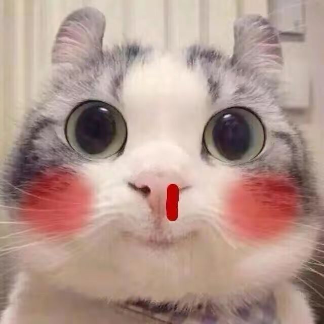 啥时候公测啊 1