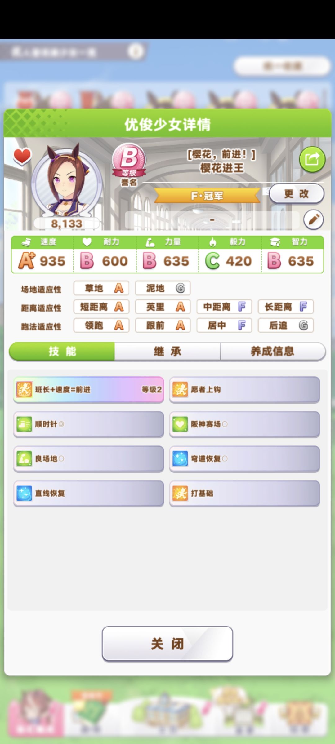 大赛b级马 2