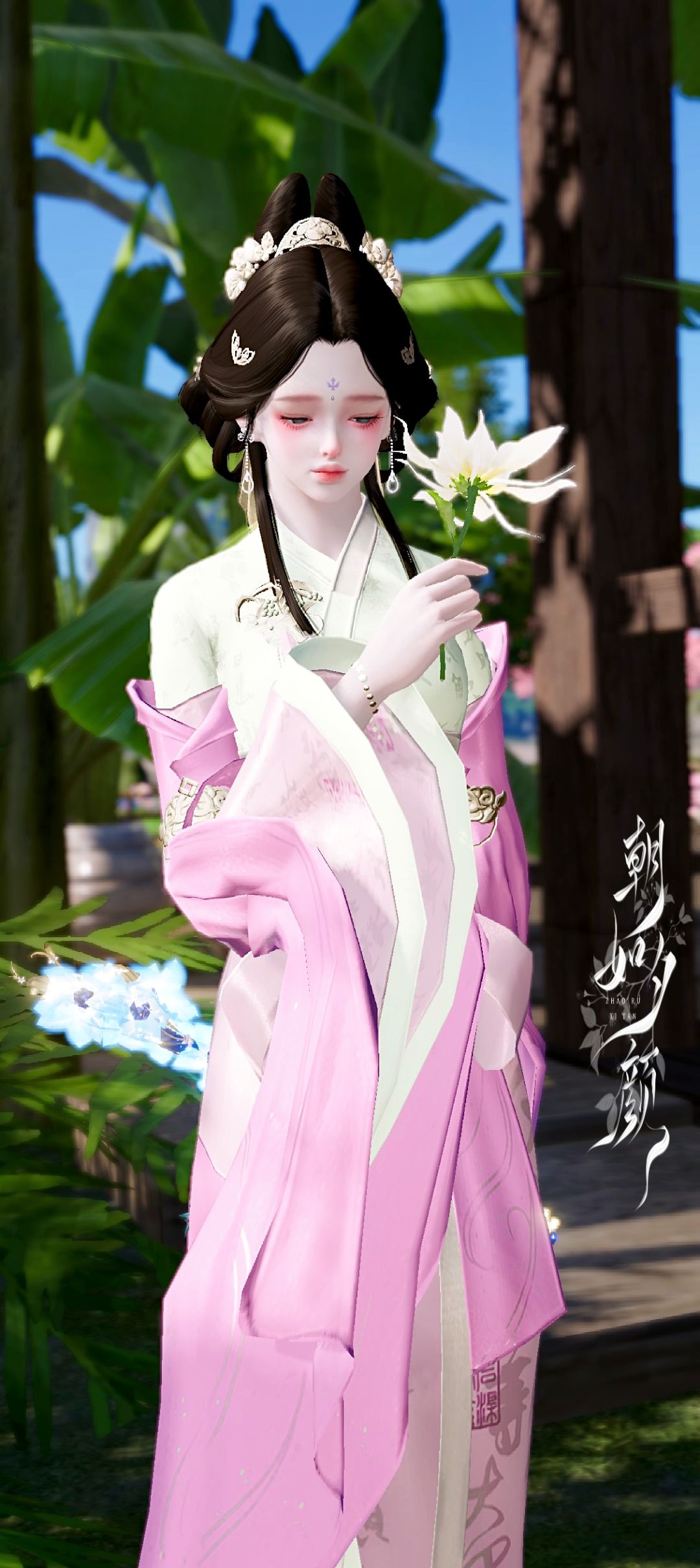 春来发几枝 3