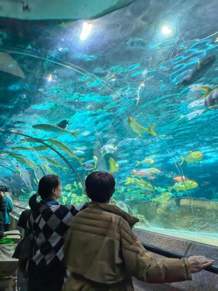想和艾冻冻去海洋馆看海底世界截图