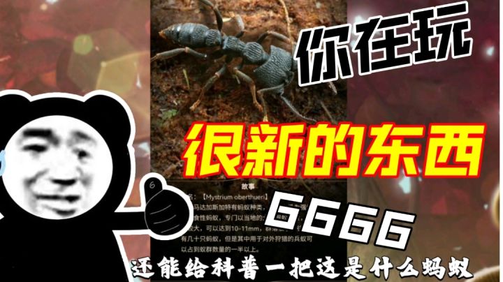 【真实战略游戏】蚂蚁世界的微妙策略!截图