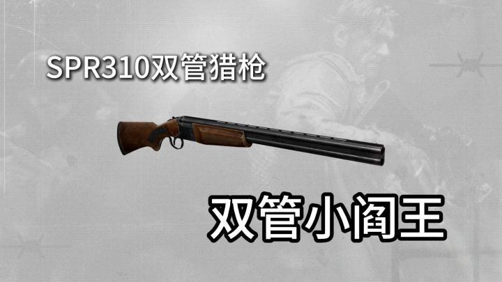 暗区突围新手武器SPR310****截图