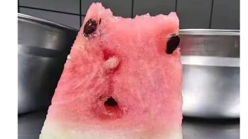 【幻境摆烂帖-1】别吵，我在摆烂