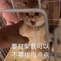 离线不加体力 1
