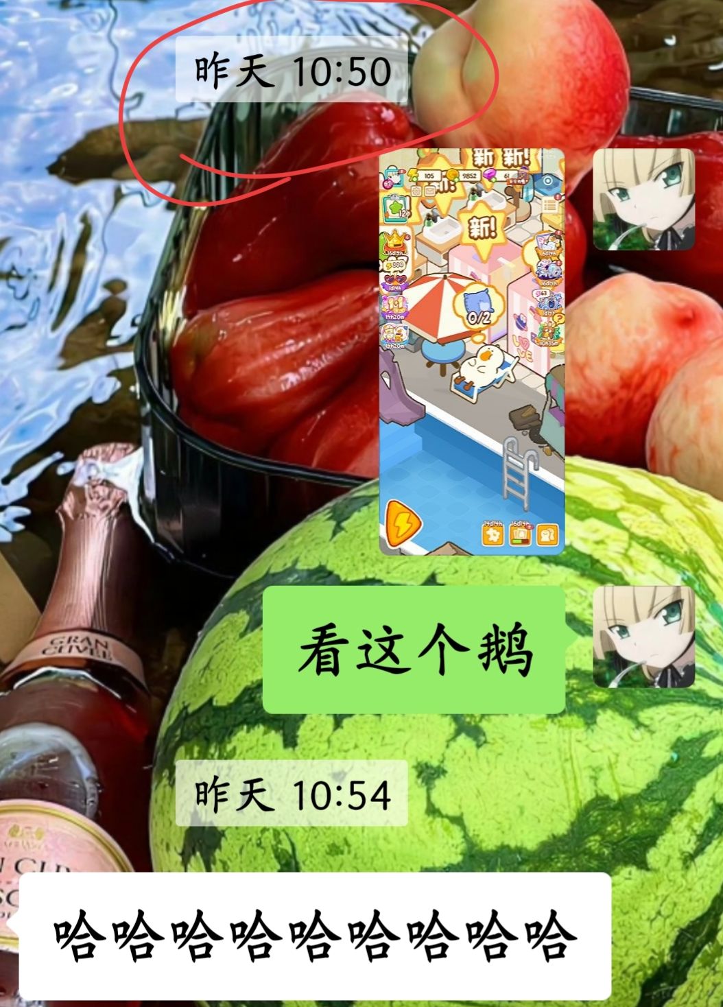 肥鹅健身房偷我钻石 1