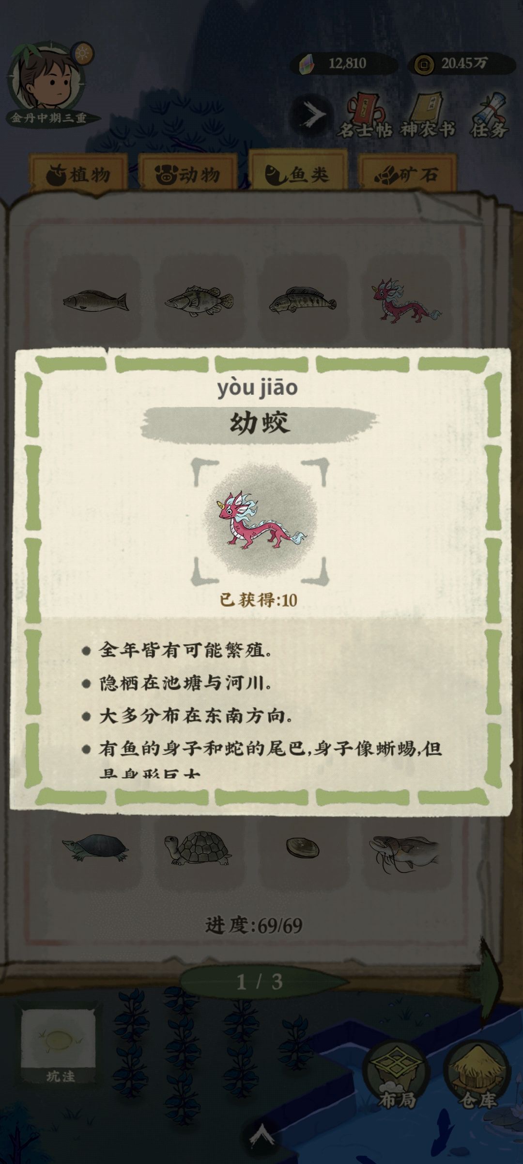 动态图片 5