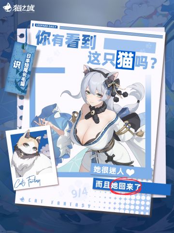 🐾寻猫启事：你有看到日本短尾长毛猫吗？